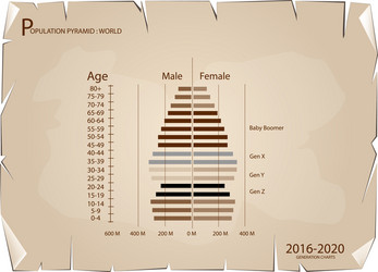 2016-2020 population pyramids graphs with 4 genera vector