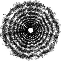 concentric circular pattern random burst vector image