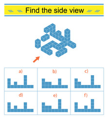 Puzzle game which side vew is correct vector