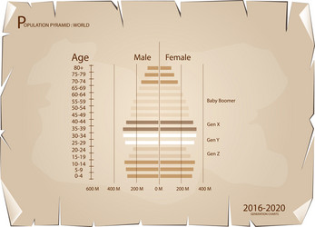 2016-2020 population pyramids graphs with 4 genera vector image