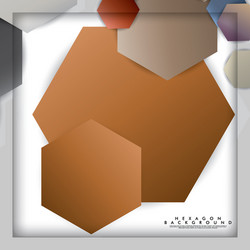 abstract hexagon background with color stone vector image