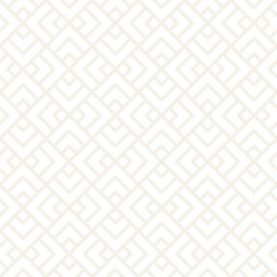 Modern Geometric Lattice Pattern vector image