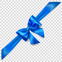 blue bow with diagonally ribbon vector