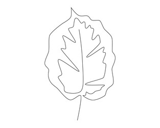continuous one simple single abstract line vector image