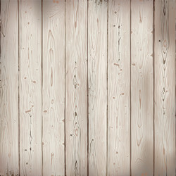 Rustic Wooden Plank Texture Vector Image