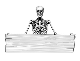 Human Skeleton Full Length And Face Isolated Vector Image