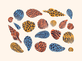 colored seashell collection shells with zebra vector image