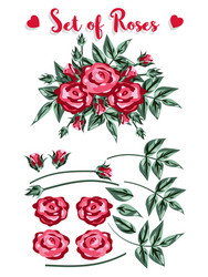 flower set Vector Image