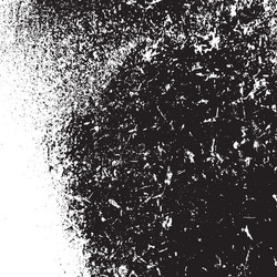 grunge grainy background vector image