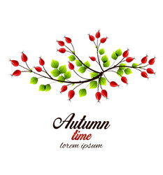 Rose Hips Autumn Bush Vector Image