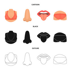isolated object body and part symbol set vector image