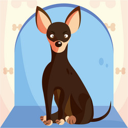 Isolated cute chihuahua dog cartoon character vector