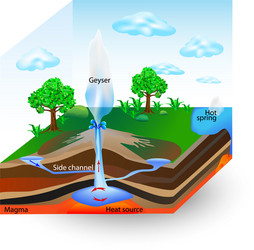 Geyser steam nature hot water eruption background Vector Image