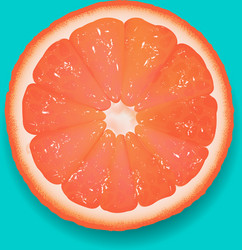grapefruit segment mint background vector image