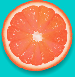 Grapefruit segment mint background vector