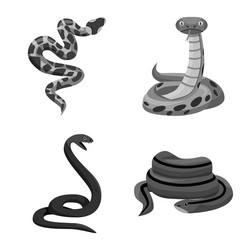 isolated object snake and creepy symbol vector