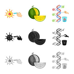 isolated object test and synthetic icon vector image