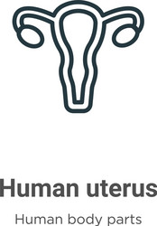 Human uterus outline icon thin line black vector