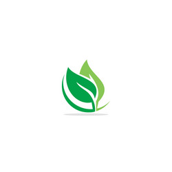 Tree botany life nature logo Royalty Free Vector Image