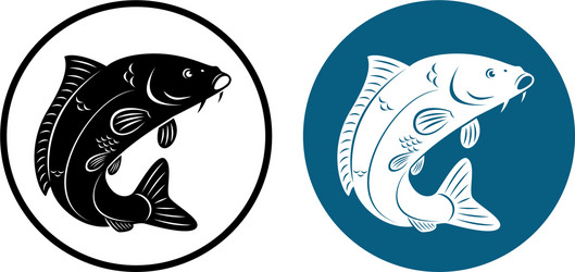 Carp Swimming in Water Vector Image