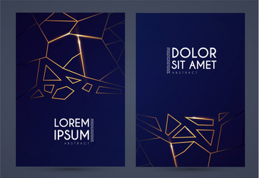 Abstract geometric flyer collections with gold vector