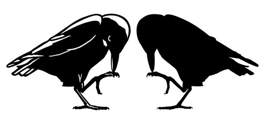 silhouette of crow raven standing with one leg vector