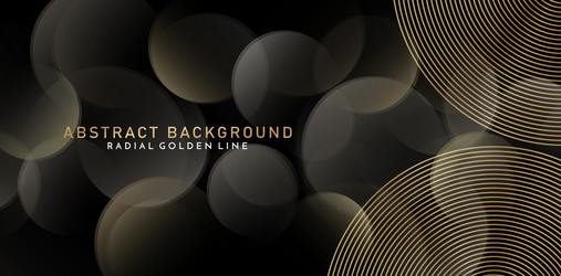 abstract background with golden line color design vector image