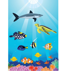 Green sea turtle life cycle Royalty Free Vector Image