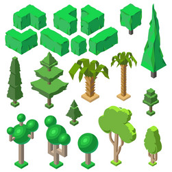 3d isometric plants trees bushes palms vector