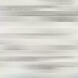 White Wood Plank Texture Vector Image