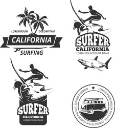 Surfing Labels & Badges Vector Image