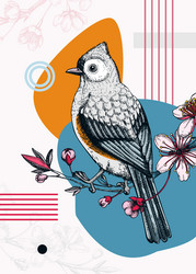 collage-style bird card sketched tufted titmouse vector