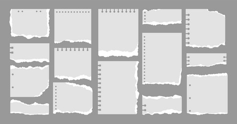 set of various torn notebook sheet white and grey vector image