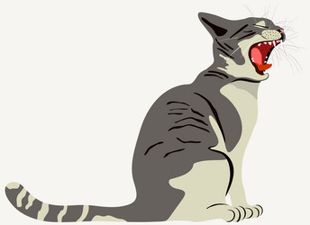 Grey cat with opened mouth vector