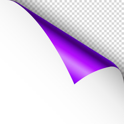 violet paper curl curled page corner with shadow vector image