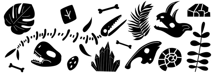 dinosaur skeleton and fossils bones vector image