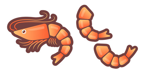 Shrimp in flat style Royalty Free Vector Image