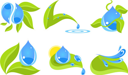 Green Leaves and Water Drops - Ecology Concept vector