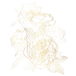 Golden Peony Floral Arrangement Vector Image