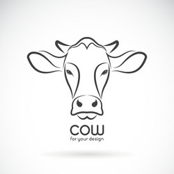 Cow Head Logo Vector Image