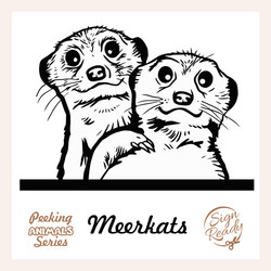 peeking friendly meerkat family vector