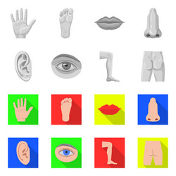 isolated object human and part symbol set vector image