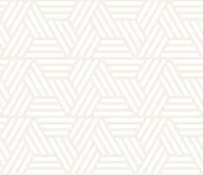 Subtle Geometric Triangle Pattern vector image