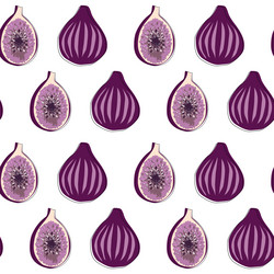 Fig seamless pattern on white background vector