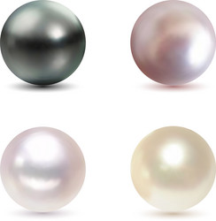 shiny natural black white light-pink pink pearl vector