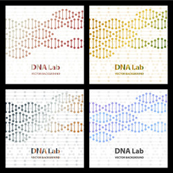 Dna structure double helix on white background vector