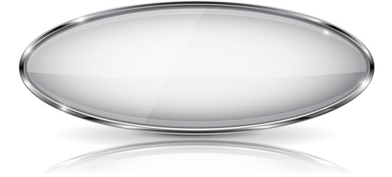Glossy Chrome Button with Reflection vector image