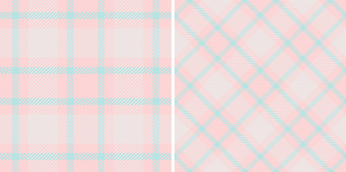 check texture of pattern background plaid vector image