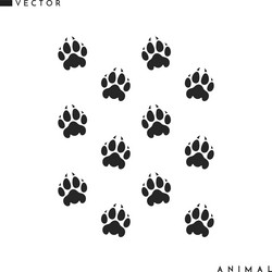 Tiger Paw Prints - Animal Footprints Vector Image