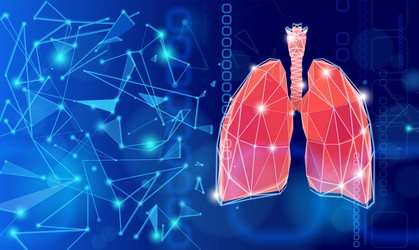 lungs showing connections using lines vector